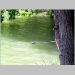 Majdalena 25.6.2008 .JPG